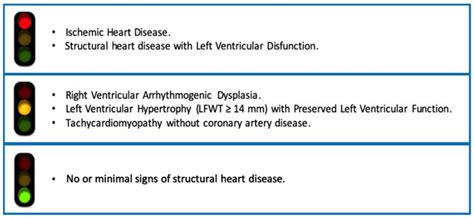 is flecainide a beta blocker|Flecainide How and When: A Practical Guide in Supraventricular .